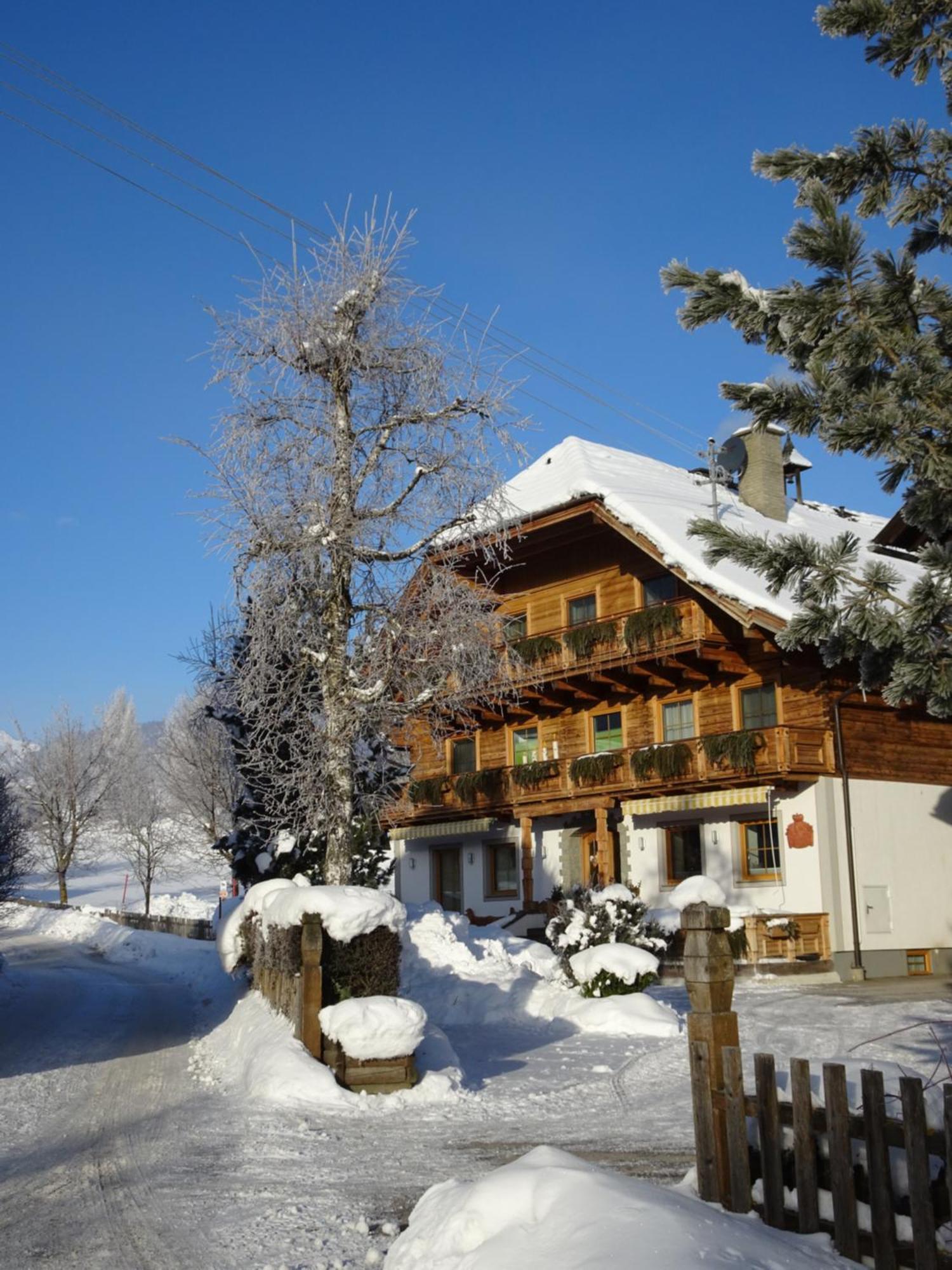 Bacherhof Farm stay Mariapfarr