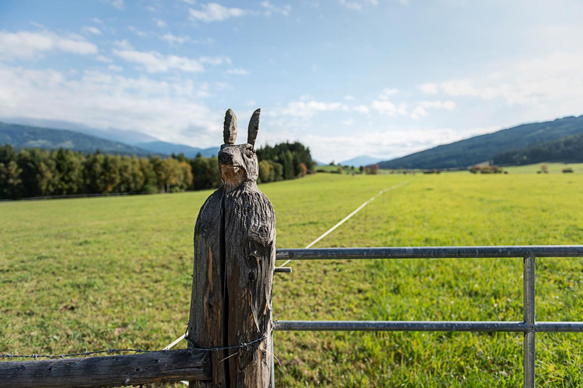Farm stay Bacherhof *