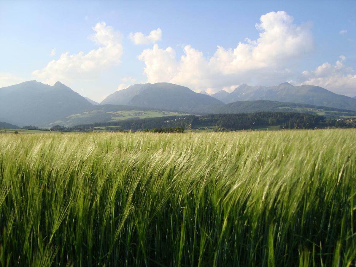 Farma Bacherhof Mariapfarr